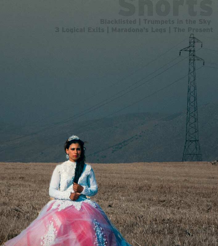 A woman in a dress an tiara sitting in a field