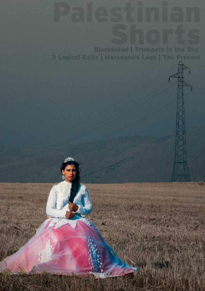 A woman in a dress an tiara sitting in a field